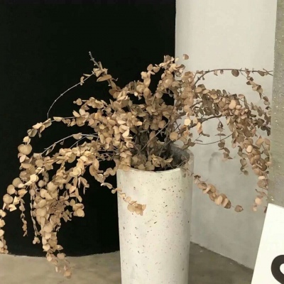 Furry插画背景绘制技巧FurryQQ群